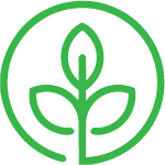 Franklin Street Pediatric Dentistry